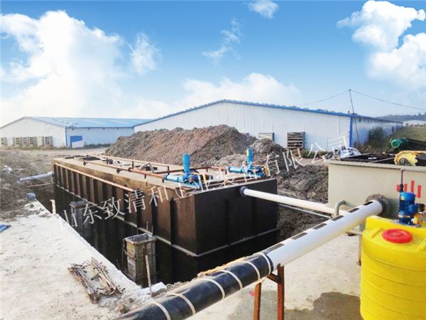 养鸭污水处置惩罚工程